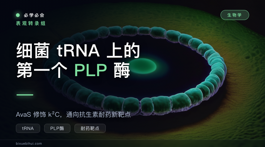 细菌 tRNA 上第一个 PLP 依赖酶,通向耐药新靶点