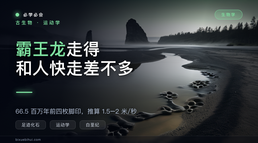 第一条成年霸王龙的足迹:它走得和人快走差不多