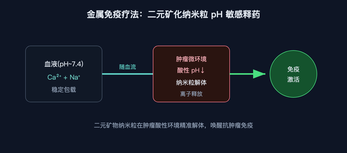 二元 Ca²⁺/Na⁺ 矿化纳米粒在血液里稳定，到肿瘤酸性微环境才解体释药