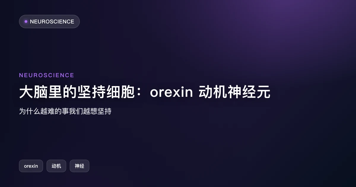 大脑里的坚持细胞:orexin 神经元如何让你越难越想坚持