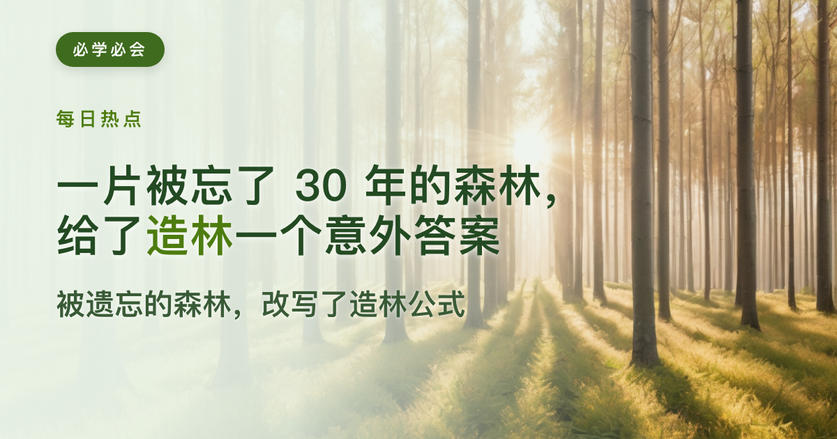 一片被忘了30年的森林,给了造林一个意外答案